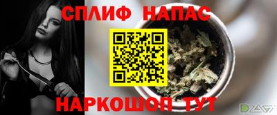гидропоника Гагарин