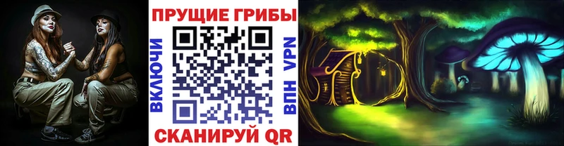 дарнет шоп  мориарти наркотические препараты  Псилоцибиновые грибы Psilocybine cubensis  Павловский Посад 