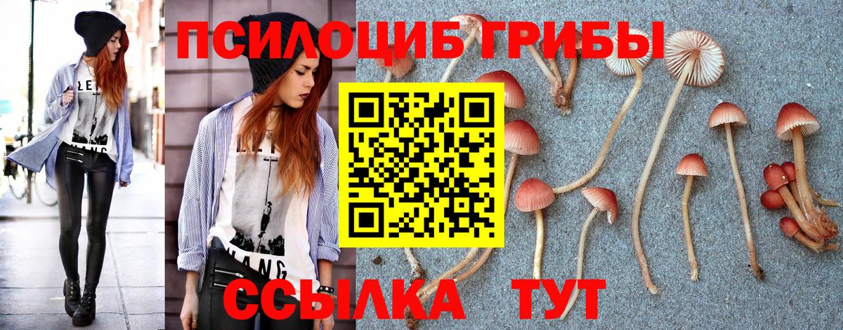 Галлюциногенные грибы GOLDEN TEACHER Павловский Посад