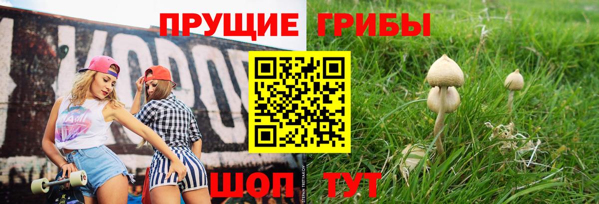 Псилоцибиновые грибы Cubensis Павловский Посад