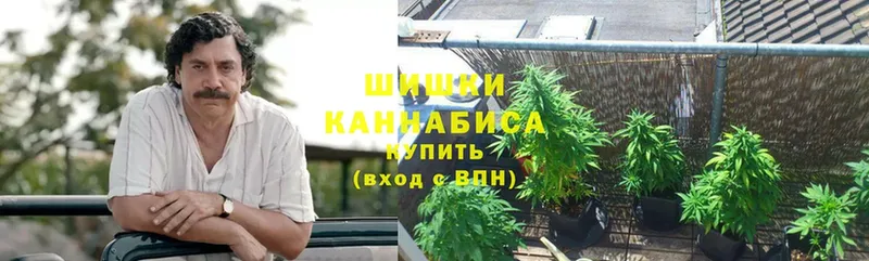 Канабис White Widow  Павловский Посад 